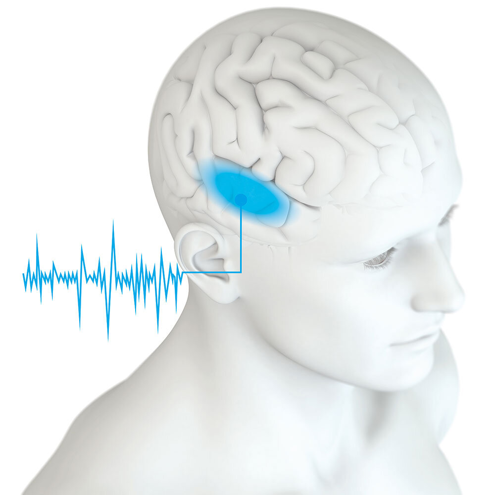 menschliches-Gehirn gehirn